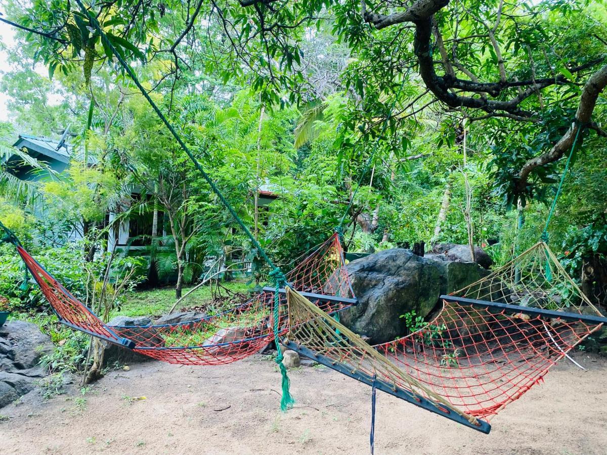 The Jungle Path Lodge Sigiriya Exteriér fotografie